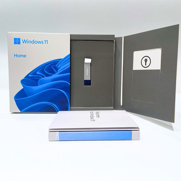 Windows 11 home usb box